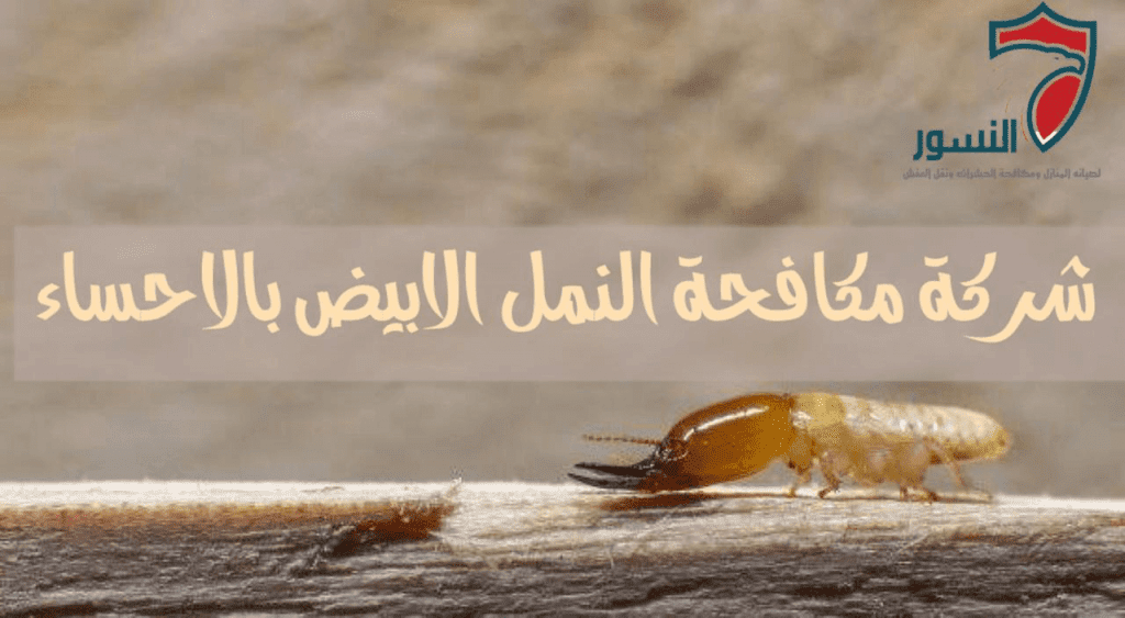 شركة مكافحة النمل الابيض بالاحساء