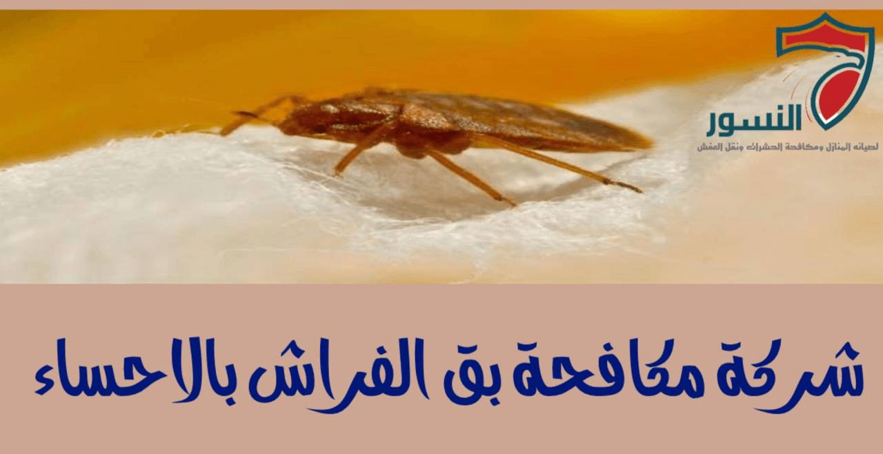 شركة مكافحة بق الفراش بالاحساء  