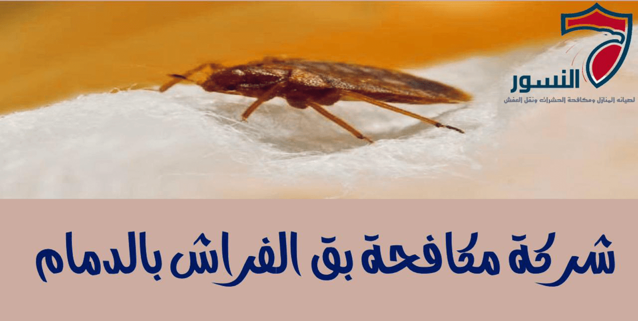 شركة مكافحة بق الفراش بالدمام