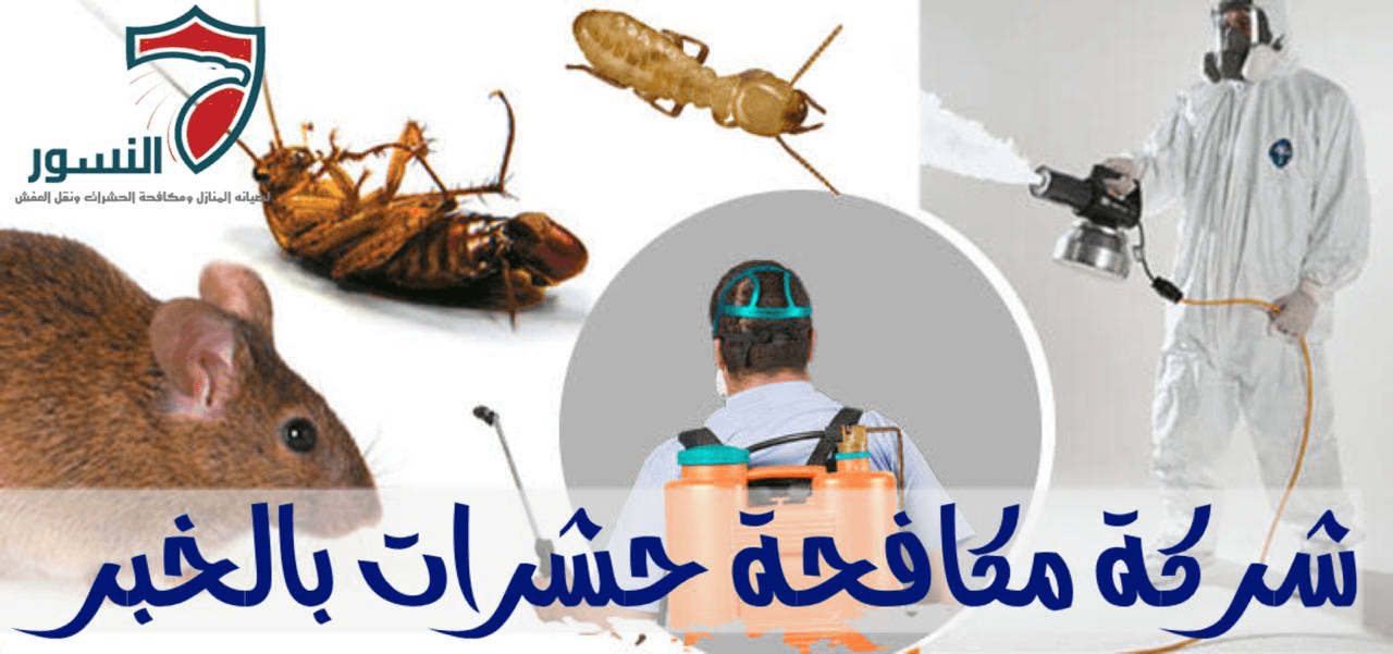 شركة مكافحة حشرات بالخبر