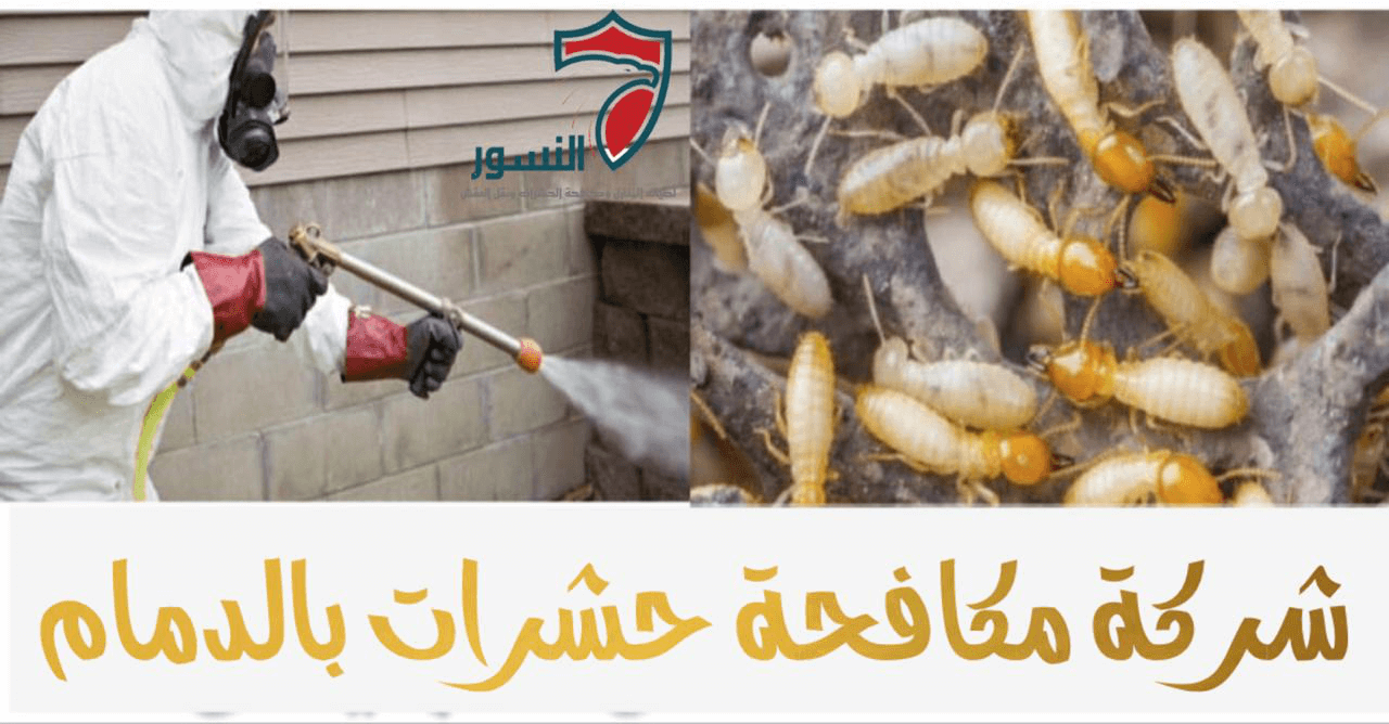 شركة مكافحة حشرات بالدمام